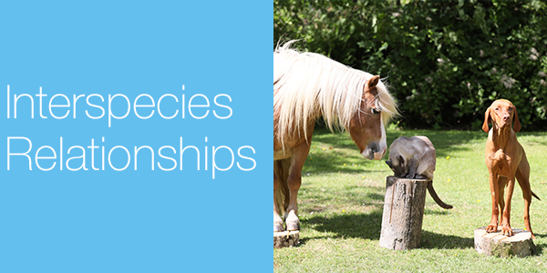 Interspecies Relationships