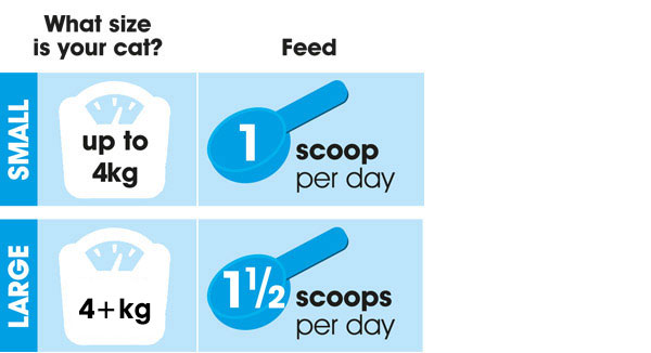 CatCare feeding instructions