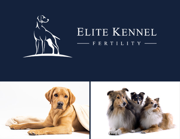 Elite Kennel Fertility