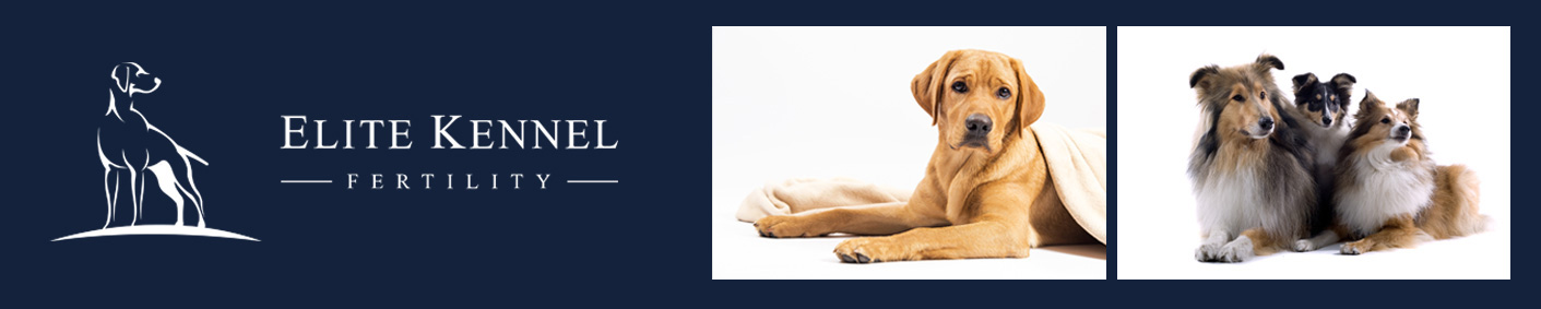 Elite Kennel Fertility