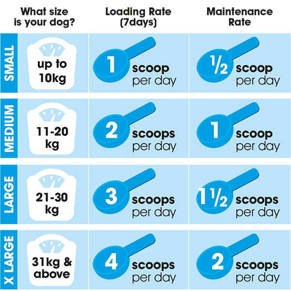 Ageility joint support feeding instructions