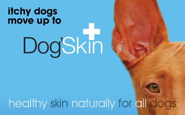 Dog'Skin Dog supplements | Skin issues | Natural VetCare - Veterinary  strength supplements for dogs