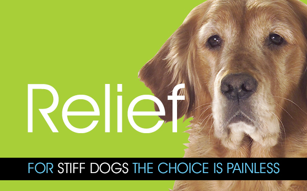Dog stiff joints remedies online